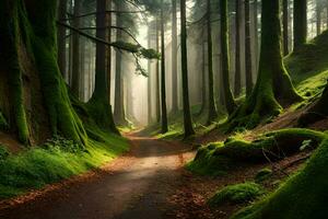 uma caminho através uma floresta com musgoso árvores gerado por IA foto