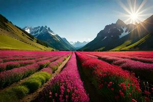 uma campo do lavanda flores dentro a montanhas. gerado por IA foto