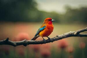 uma colorida pássaro senta em uma ramo dentro frente do uma campo. gerado por IA foto
