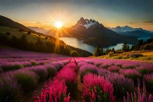 a Sol sobe sobre uma lavanda campo dentro a montanhas. gerado por IA foto