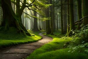 uma caminho através uma verde floresta com árvores e grama. gerado por IA foto