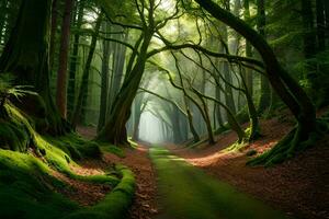 uma caminho através uma floresta com árvores e verde grama. gerado por IA foto
