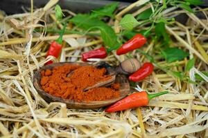 diferente tipo do Pimenta quente e picante foto