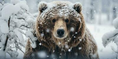 uma grisalho Urso caminhando tempestade de neve ai generativo foto