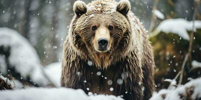 uma grisalho Urso caminhando tempestade de neve ai generativo foto