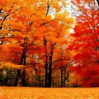 a a maioria lindo vermelho outono floresta . ai gerado foto