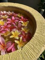 flores encharca dentro água dentro uma cerâmica tigela. onam e diwali festival conceito imagem, vermelho plumeria flor ou bunga kemboja Merah dentro bali foto