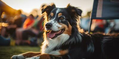 fofa cachorro sentado em a Relva dentro uma parque às pôr do sol ai gerado foto