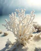 lindo coral em a Beira Mar. seletivo foco, ai generativo foto