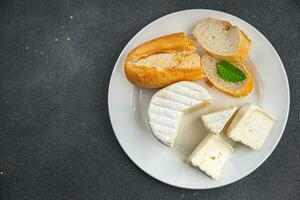 envelhecido país queijo suave queijo branco mofo cremoso gosto comendo cozinhando Aperitivo refeição Comida lanche em a mesa cópia de espaço Comida fundo rústico topo Visão foto