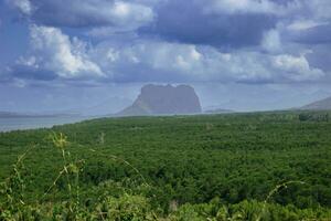 filipino selva a partir de a topo do uma ponto de vista foto