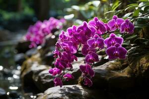 orquídeas dentro floresta natureza panorama ai gerado foto