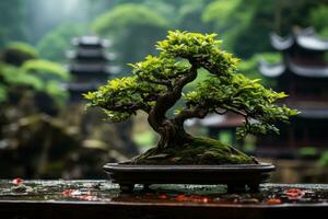 tradicional japonês bonsai plantar arte ai gerado foto