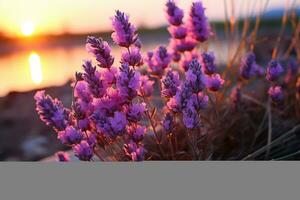 lavanda dentro a campo natureza panorama ai gerado foto