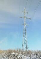 a torre da linha de energia está localizada em uma área pantanosa, coberta de neve. grande campo de juncos amarelos foto