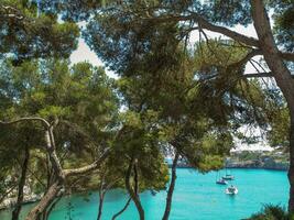 a ilha do Mallorca foto