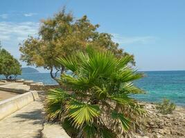 a ilha do Mallorca foto