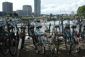 nijmbicycle, bicicleta, cidade, paisagem urbana, holandês, Porto, Holanda, marina, Holanda, Nimega, ar livre, portegen, Países Baixos - setembro 15, 2023 - uma linha do bicicletas perto a baía dentro Nijmegen foto