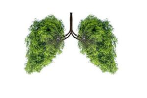 ilustração de ambiente de árvore pulmonar e medicina foto