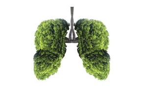 ilustração de ambiente de árvore pulmonar e medicina foto