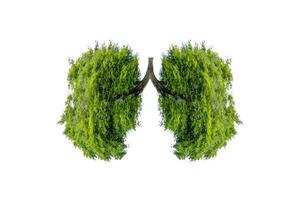 ilustração de ambiente de árvore pulmonar e medicina foto