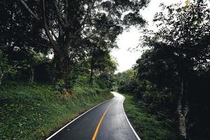 estrada na floresta, estação das chuvas, árvores da natureza e viagens com nevoeiro foto