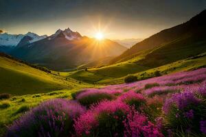 a Sol sobe sobre a montanhas e flores dentro a primeiro plano. gerado por IA foto