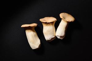 pleurotus eryngii também conhecido como cogumelo trompete rei no preto foto