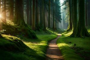 caminho dentro a floresta com Sol brilhando através a árvores gerado por IA foto