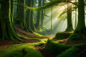 a Sol brilha através a árvores dentro uma floresta. gerado por IA foto