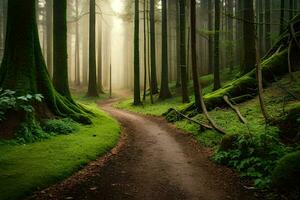 uma caminho através uma floresta com árvores e musgo. gerado por IA foto