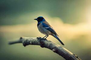 uma azul pássaro senta em uma ramo dentro a Sol. gerado por IA foto
