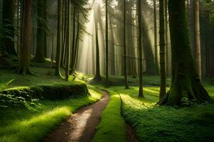 caminho através a floresta com luz solar brilhando através a árvores gerado por IA foto