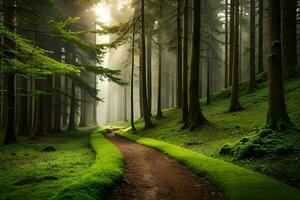 uma caminho através uma floresta com árvores e grama. gerado por IA foto