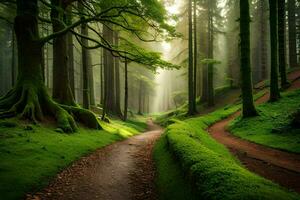 uma caminho através uma verde floresta com árvores e raios de sol. gerado por IA foto