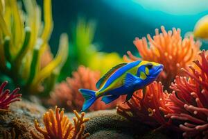 uma azul e amarelo peixe dentro a embaixo da agua coral recife. gerado por IA foto