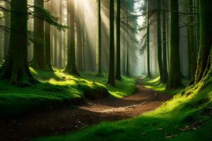 uma caminho através uma floresta com luz solar brilhando através a árvores gerado por IA foto