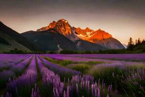 a lavanda campo dentro a montanhas. gerado por IA foto