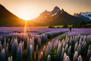a Sol sobe sobre uma campo do lavanda flores dentro a montanhas. gerado por IA foto