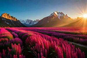 a Sol brilha sobre uma campo do Rosa flores gerado por IA foto