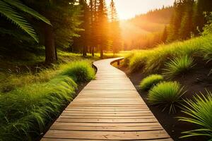 de madeira caminho dentro a floresta às pôr do sol. gerado por IA foto