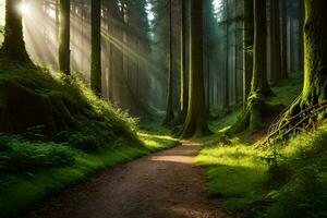 caminho dentro a floresta com Sol raios brilhando através a árvores gerado por IA foto