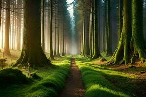 uma caminho através uma floresta com árvores e grama. gerado por IA foto