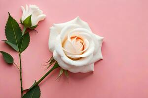 dois branco rosas em uma Rosa fundo. gerado por IA foto