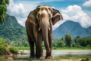 natureza e animais selvagens maravilhas capturar a essência do animais selvagens e natureza. generativo ai foto