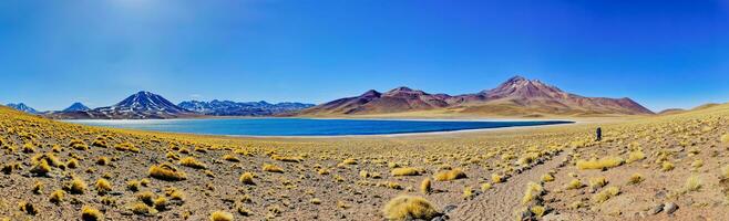 miscanti altiplânico lagoa dentro a Atacama deserto - san Pedro de atacama. foto
