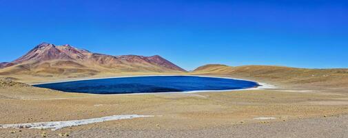 miniques altiplânico lagoa dentro a Atacama deserto - san Pedro de atacama. foto