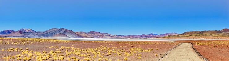 pedras rojas - Atacama deserto - san Pedro de atacama. foto