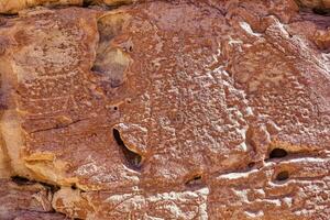 ervas boa arqueológico local - Chile. caverna quadros - Atacama deserto. san Pedro de atacama. foto