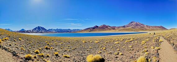 miscanti altiplânico lagoa dentro a Atacama deserto - san Pedro de atacama. foto